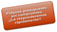 P�danos presupuesto  sin compromiso. ��Le responderemos r�pidamente!!