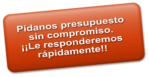 P�danos presupuesto  sin compromiso. ��Le responderemos r�pidamente!!