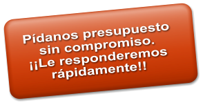 P�danos presupuesto  sin compromiso. ��Le responderemos r�pidamente!!