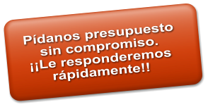 P�danos presupuesto  sin compromiso. ��Le responderemos r�pidamente!!